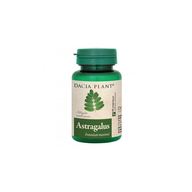 Astragalus, 60 comprimate, Dacia Plant Astragalus, 60 comprimate, Dacia Plant