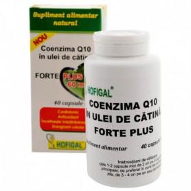 Coenzima Q10 in ulei de catina Forte Plus 60mg, 40 capsule, Hofigal