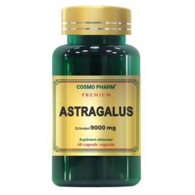 Astragalus Extract 9000mg Premium, 60 capsule, Cosmopharm