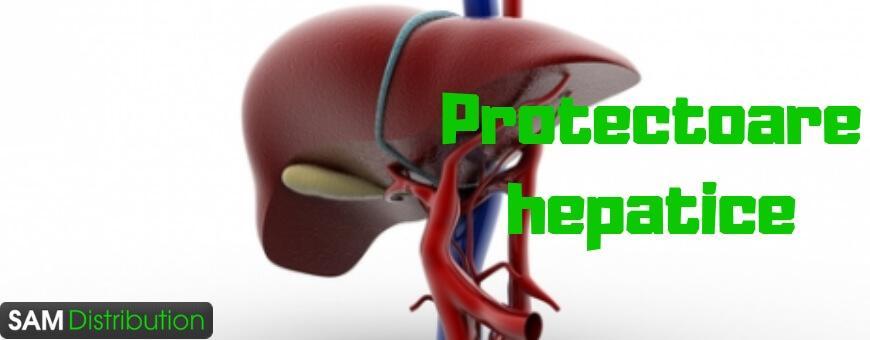 Protectoare hepatice » medicamente pentru regenerarea ficatului