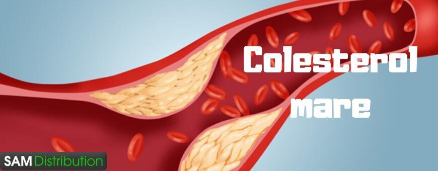 Colesterol mare » colesterol tratament naturist